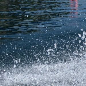 Meet your Posher, Derek